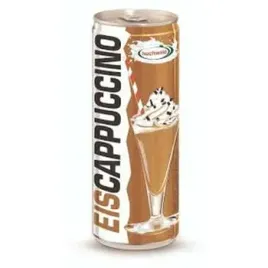 eiscappuccino-250-ml-puszka-hochwald-dose
