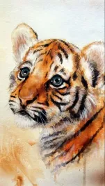 plakat-tygrys-akwarela-vintage-retro-915x61-cm