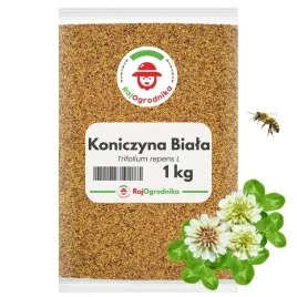koniczyna-biala-nasiona-miododajna-wieloletnia-odporna-na-susze-1-kg-redum