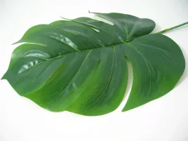 sztuczny-lisc-monstery-monstera