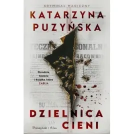 dzielnica-cieni-proszynski-i-s-ka