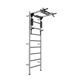 drabinka-gimnastyczna-profi-szary-drazek-i-porecze-do-dipow-2w1-or-250-kg