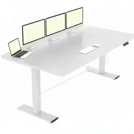 biurko-elektryczne-flexispot-qb2-140x70-2-silniki-120kg-antykolizja-biale