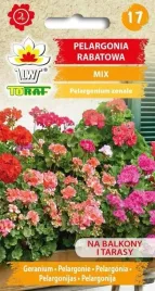 pelargonia-mix-kolorow-piekna-ozdobna-mieszanka-roslin-dekoracyjna-nasiona