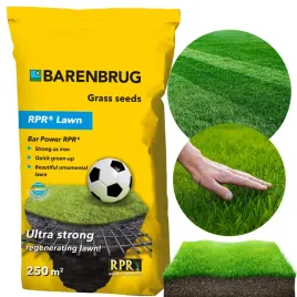 barenbrug-trawa-rpr-lawn-5kg-nasiona-traw-na-trawnik-uzytkowy-zycice