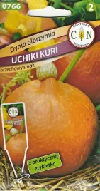 dynia-olbrzymia-uchiki-kuri-typ-hokkaido-aromatyczny-miazsz-nasiona-dynie