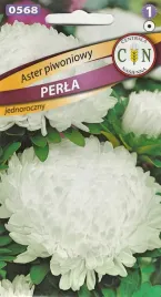 aster-piwoniowy-biala-perla-biale-astry-piekne-kwiaty-nasiona-astrow