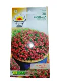 toraf-lobelia-czerwona-01g-rodzaj-rosliny-lobelie