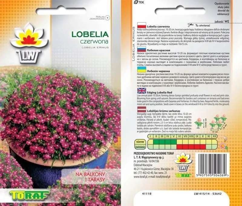 toraf-lobelia-czerwona-01g