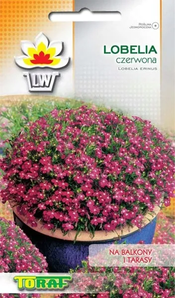 toraf-lobelia-czerwona-01g-rodzaj-rosliny-lobelie-kod-producenta-5907595504089