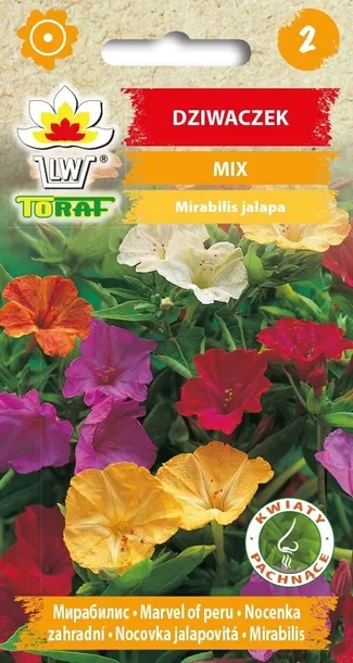 toraf-dziwaczek-mix-2g-cechy-charakterystyczne-lubiace-cien-lubiace-slonce-oczyszczajace-powietrze-proste-w-pielegnacji-przyjazne-dla-zwierzat-rzadko-spotykane