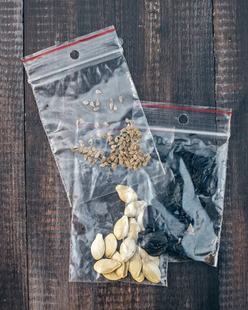 toraf-dziwaczek-mix-2g-nazwa-lacinska-mirabilis-jalapa
