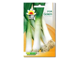 toraf-por-golem-1g-wczesny
