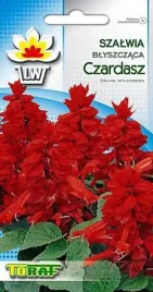 toraf-szalwia-czardasz-03g