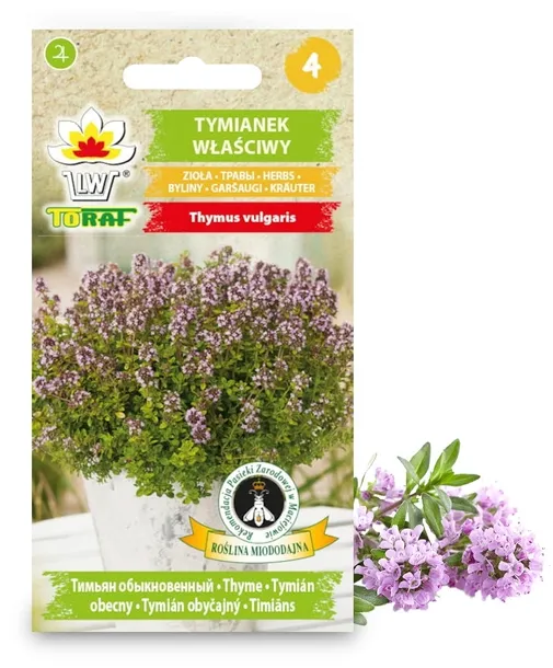 toraf-tymianek-03g-cykl-rozwojowy-rosliny-wieloletnia