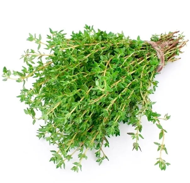 toraf-tymianek-03g-nazwa-lacinska-thymus-vulgaris