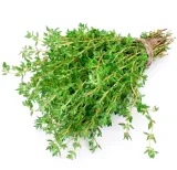 toraf-tymianek-03g-nazwa-lacinska-thymus-vulgaris