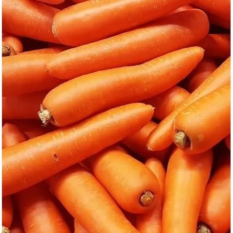 toraf-marchew-flakkese2-100g-rodzaj-rosliny-marchew