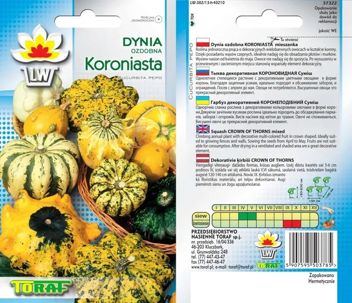 toraf-dynia-ozdobna-koroniasta-2g-odmiana-dynia-koroniasta