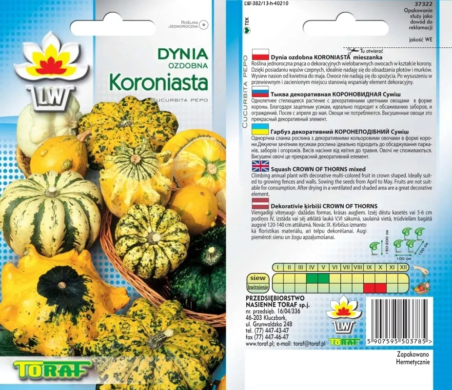 toraf-dynia-ozdobna-koroniasta-2g