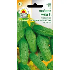 toraf-ogorek-hela-5g