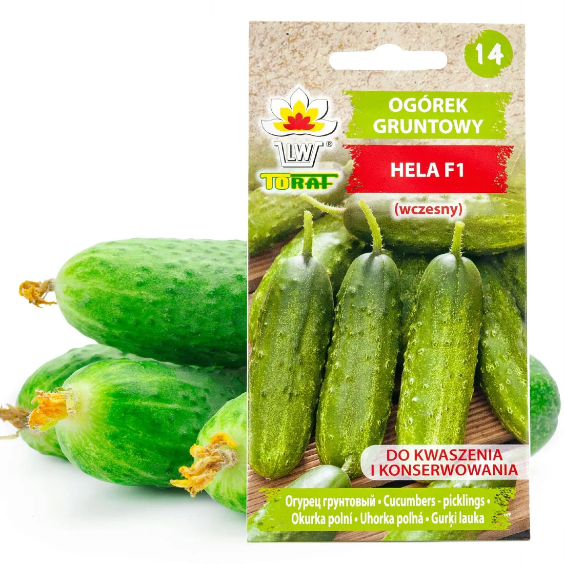 toraf-ogorek-hela-5g