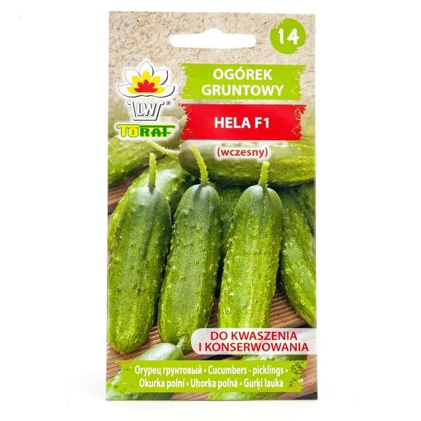 toraf-ogorek-hela-5g-cykl-rozwojowy-rosliny-jednoroczna