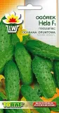 toraf-ogorek-hela-5g-kod-producenta-5907595501811