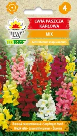 toraf-lwia-paszcza-karlowa-mix-05g