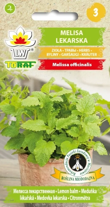 toraf-melisa-lekarska-05g-styl-ogrod-nowoczesny-ogrod-wiejski