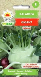 toraf-kalarepa-gigant-2g