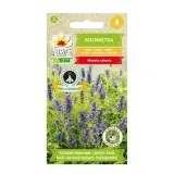 toraf-melisa-lekarska-05g-styl-ogrod-nowoczesny-ogrod-wiejski-rodzaj-rosliny-melisa