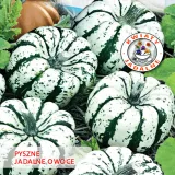 toraf-dynia-ozdobna-sweet-dumpling-2g-styl-ogrod-japonski-ogrod-nowoczesny-ogrod-skalny-ogrod-srodziemnomorski-ogrod-wiejski