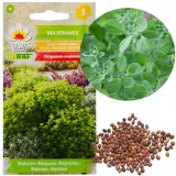 toraf-majeranek-1g-nazwa-lacinska-origanum-vulgare