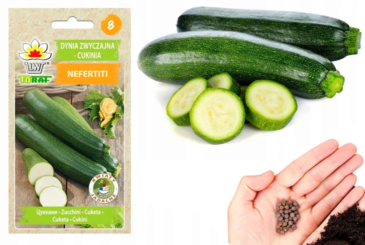 toraf-cukinia-nefertiti-3g-nazwa-lacinska-cucurbita-pepo-patisoniana