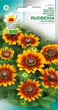 toraf-rudbekia-dwubarwna-1g-rodzaj-rosliny-inny
