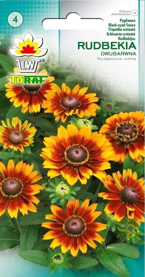 toraf-rudbekia-dwubarwna-1g-rodzaj-rosliny-inny