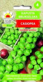 toraf-kapusta-brukselka-casiopea-2g