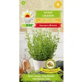 toraf-hyzop-lekarski-05g-kod-producenta-5907595502399
