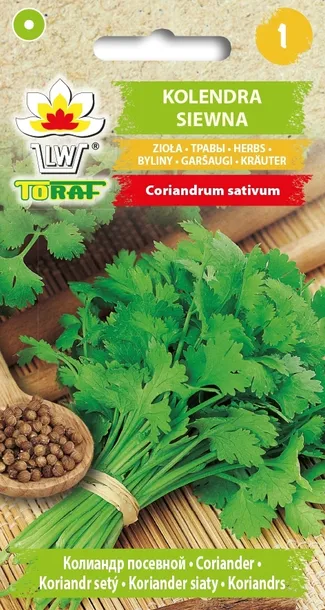 toraf-kolendra-siewna-2g-cykl-rozwojowy-rosliny-jednoroczna