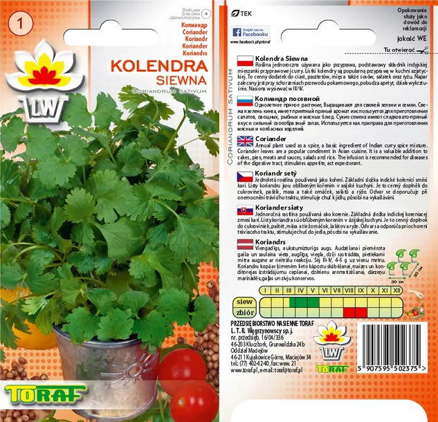 toraf-kolendra-siewna-2g-odmiana-kolendra-siewna