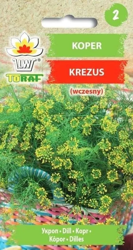 toraf-koper-ogrodowy-krezus-5g-rodzaj-rosliny-koper