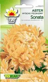 toraf-aster-peoniowy-sonata-1g-morelowy-styl-ogrod-nowoczesny-ogrod-skalny-ogrod-srodziemnomorski-ogrod-wiejski