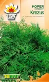 toraf-koper-ogrodowy-krezus-5g-odmiana-koper