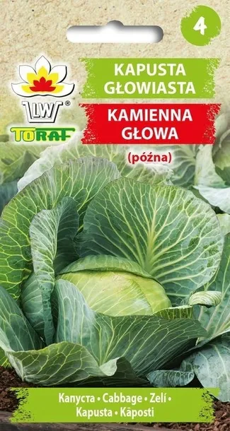 toraf-koper-ogrodowy-krezus-5g-cechy-charakterystyczne-lubiace-cien-lubiace-slonce-oczyszczajace-powietrze-owadozerne-proste-w-pielegnacji-przyjazne-dla-zwierzat-rzadko-spotykane