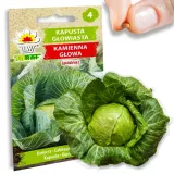 toraf-koper-ogrodowy-krezus-5g-nazwa-lacinska-anethum