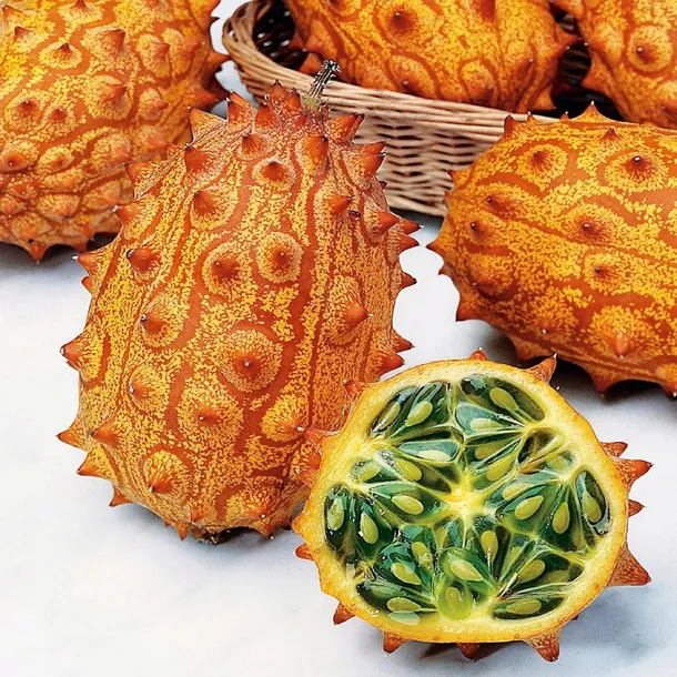 toraf-kiwano-03g-marka-toraf