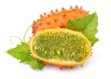 toraf-kiwano-03g-styl-ogrod-nowoczesny-ogrod-srodziemnomorski-cykl-rozwojowy-rosliny-jednoroczna