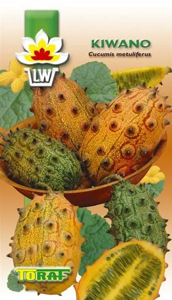 toraf-kiwano-03g-styl-ogrod-nowoczesny-ogrod-srodziemnomorski-rodzaj-rosliny-inny