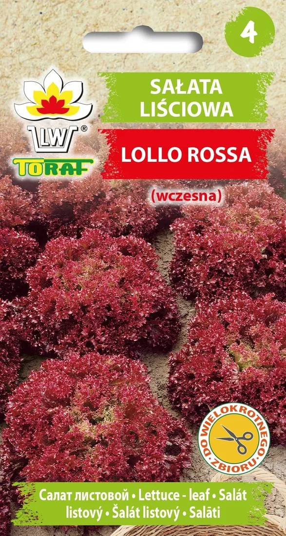 toraf-salata-lollo-rossa-1g-rodzaj-rosliny-salata